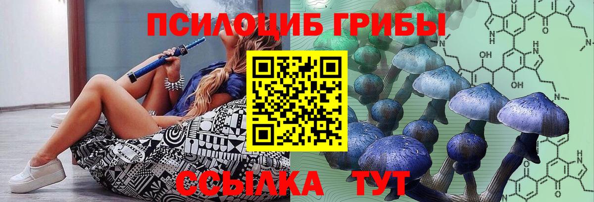 Улан-Удэ  Галлюциногенные грибы Psilocybe  что такое   Вход с VPN  Галлюциногенные грибы Cubensis 